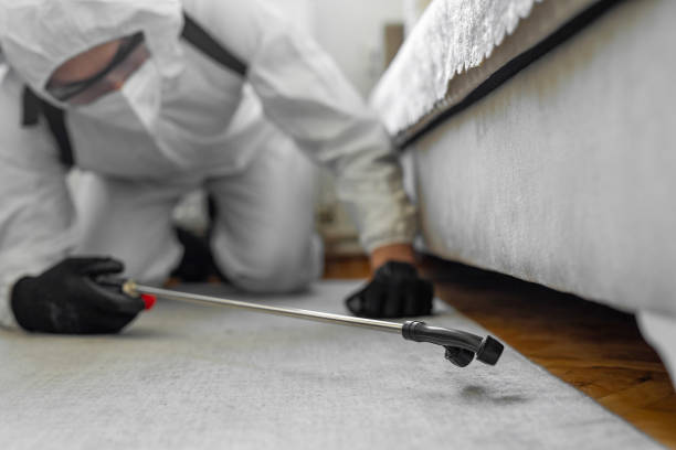 Professional Bed Bug Control technician working in Orangeville, UT