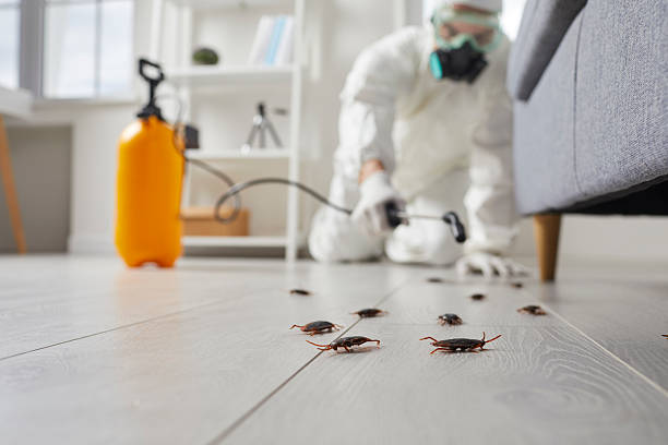 Trusted Cockroach Control service in Orangeville, UT - Nex Pest Control