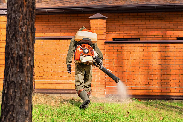 Trusted Bed Bug Control service in Orangeville, UT - Nex Pest Control